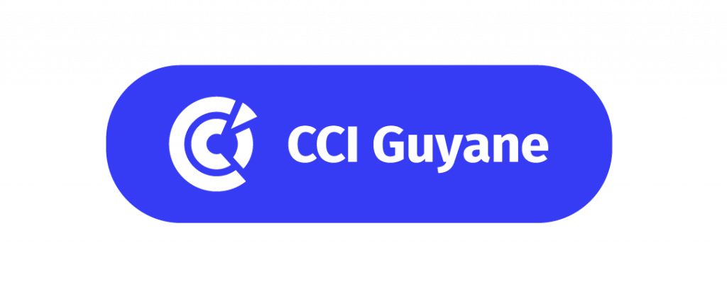 Logo CCI Guyane