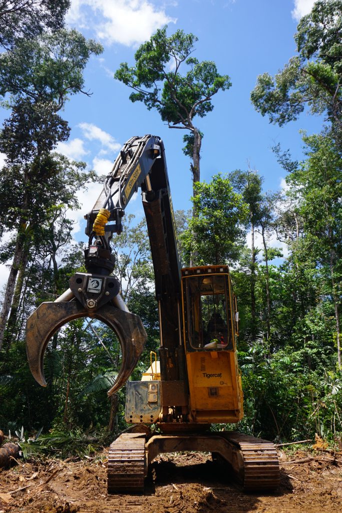 Exploitation forestière Guyane Tigercat