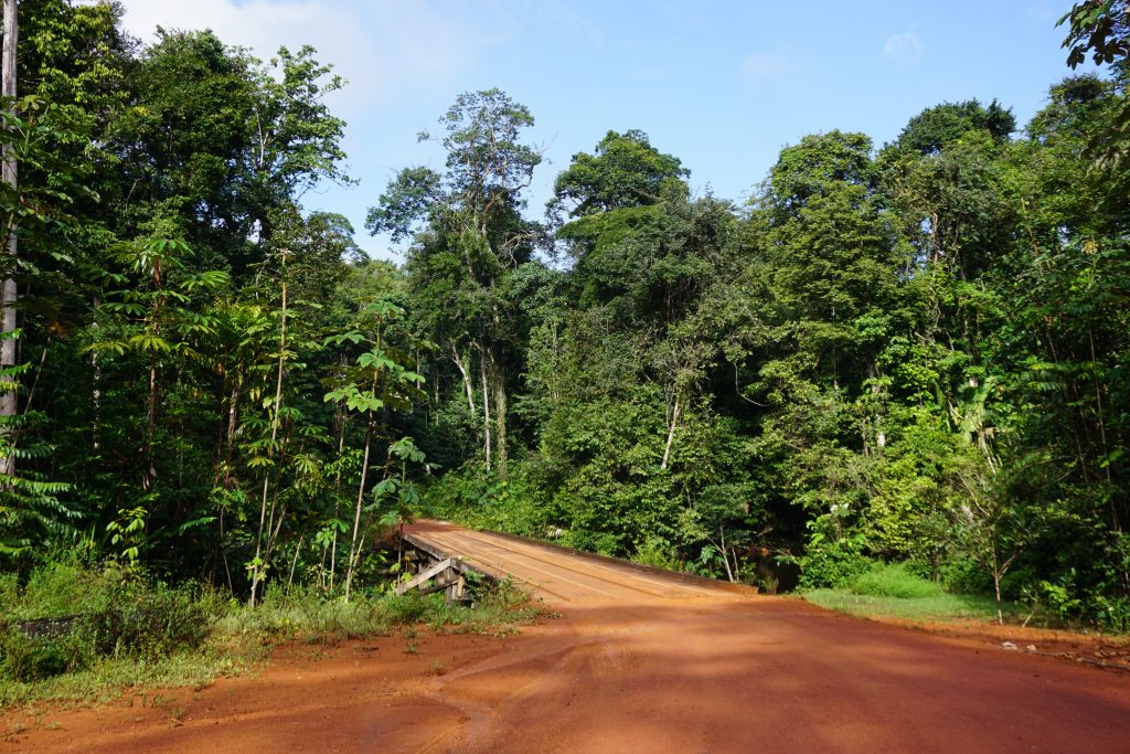Pont forestier piste Manaré Guyane 1