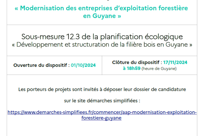 Appel à projets « Modernisation des entreprises d’exploitation forestière en Guyane »